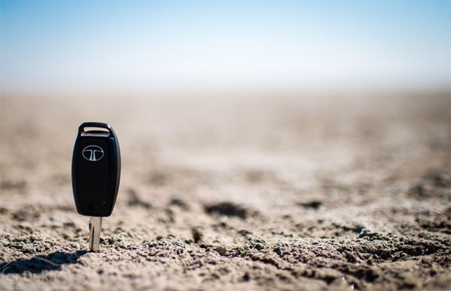 Safari On the Rann