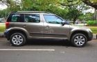Skoda Yeti 4x4 Long Term Test  Report 1. Expert Review